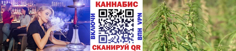 хочу наркоту  Лагань  Шишки марихуана индика 